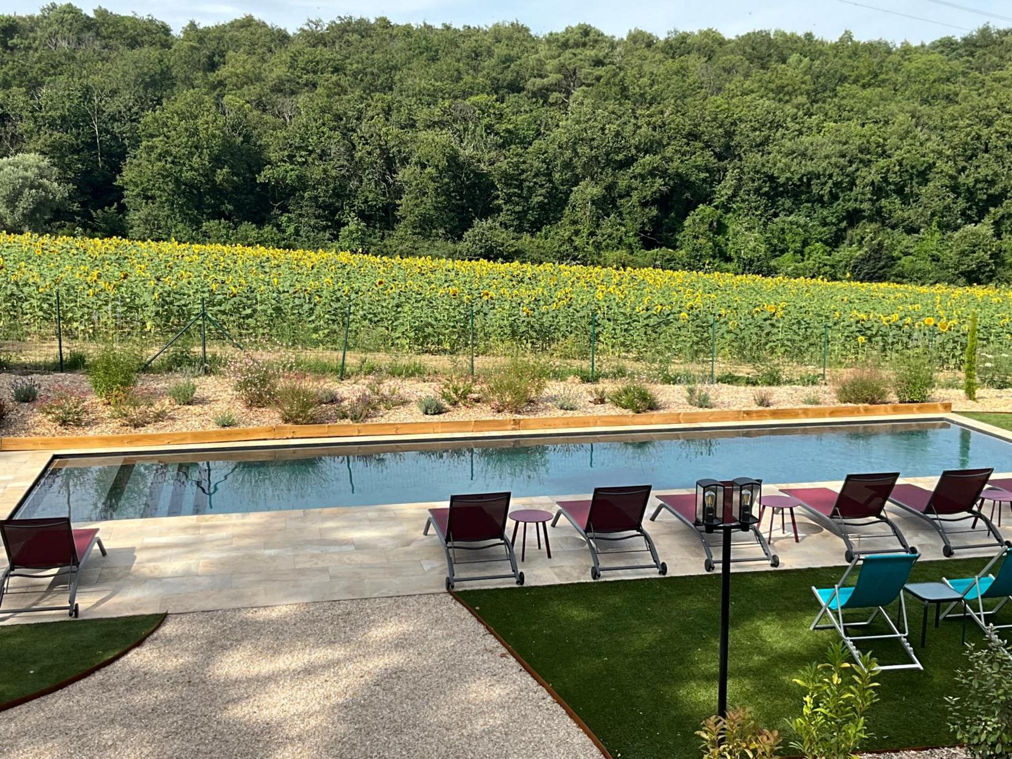 Sans Souci Bed And Breakfast Luxe Heated Pool And Restaurant Luzille Bagian luar foto